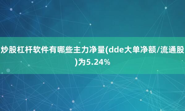炒股杠杆软件有哪些主力净量(dde大单净额/流通股)为5.24%