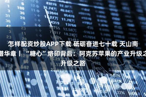 怎样配资炒股APP下载 砥砺奋进七十载 天山南北谱华章丨 “糖心”烙印背后:阿克苏苹果的产业升级之路