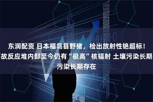 东润配资 日本福岛县野猪，检出放射性铯超标！核事故反应堆内部至今仍有“极高”核辐射 土壤污染长期存在