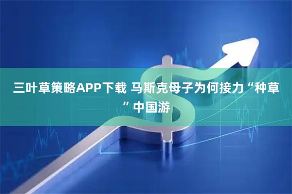 三叶草策略APP下载 马斯克母子为何接力“种草”中国游